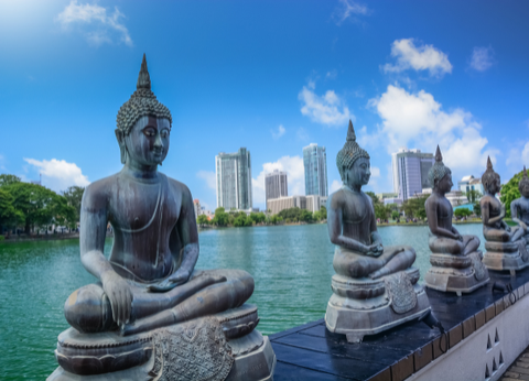 Circuit Le Royaume des Eléphants et plage en privatif - 5