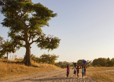 Circuit Au rythme de l'Afrique de l'Ouest : le Sénégal, terre de contrastes - 11
