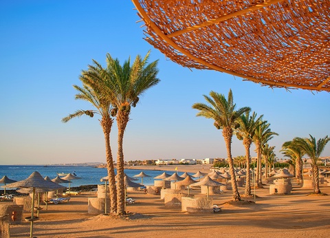 Hôtel Dreams Beach Resort Sharm El Sheikh 5* - 11