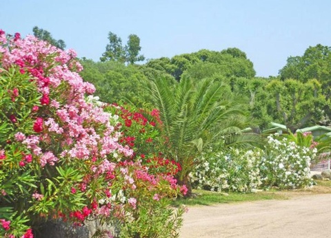 Camping Pezza Cardo, 3* - 9