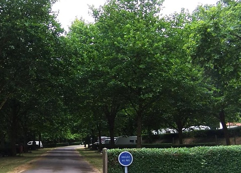 Camping du lac Pouzauges, 3* - 2