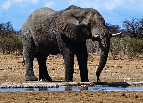 Circuit Trésors d'Afrique australe - 13