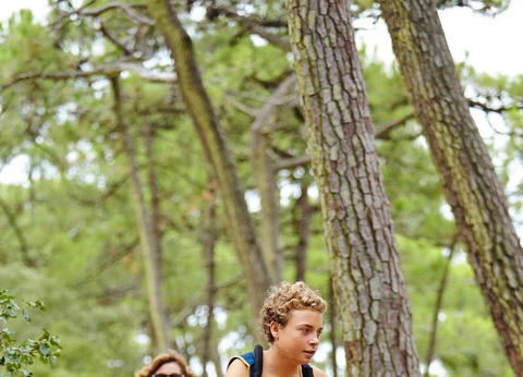 Camping L'Abri des Pins, 4* - 227