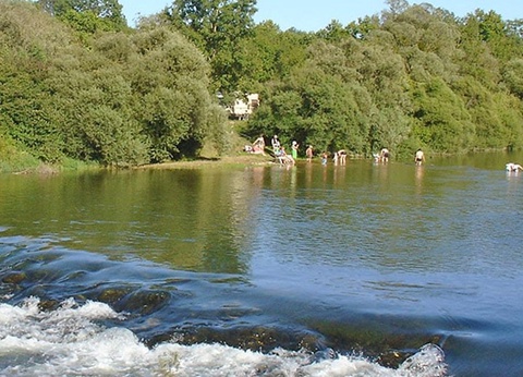 Flower Camping les 3 Ours, 3* - 10