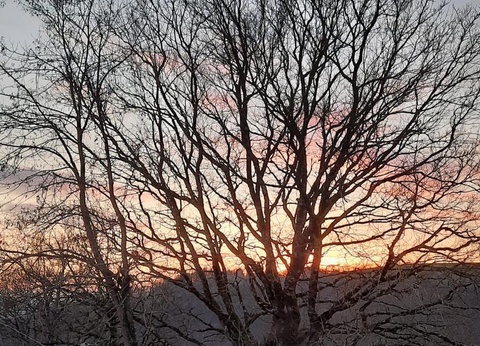 Domaine Vallée Du Tarn, 3* - 42