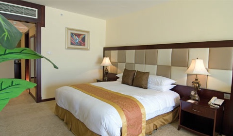 Hôtel Grand Hotel Excelsior - La Collection - 5* - 3