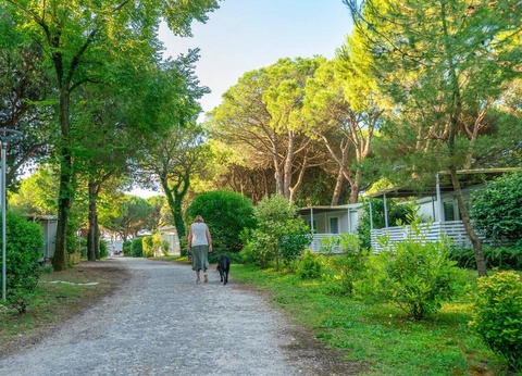 Club del Sole Jesolo Familiy Village Family Resort, 3* - 47