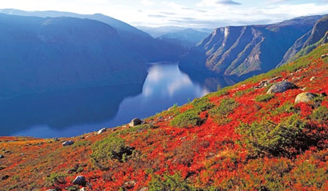 Circuit Au Coeur de la Norvège - 7