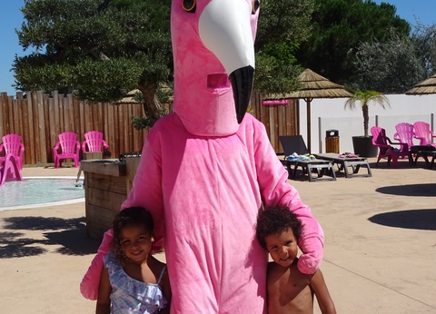 Camping Flamants Roses 4* - 29