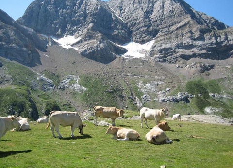 Camping du Lac, 4* - 15