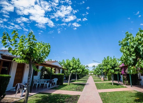 Camping Estival Vendrell Platja, 4* - 29