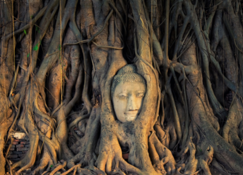 Circuit Thaïlande Insolite, à la rencontre des Tribus du Nord - 2