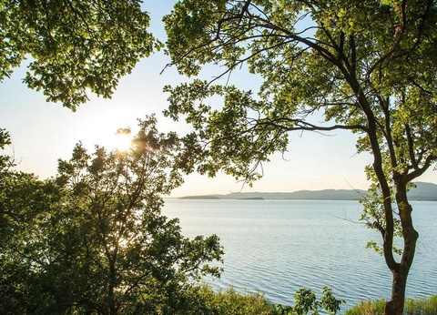 Campeggio Villaggio Cerquestra, 3* - 32