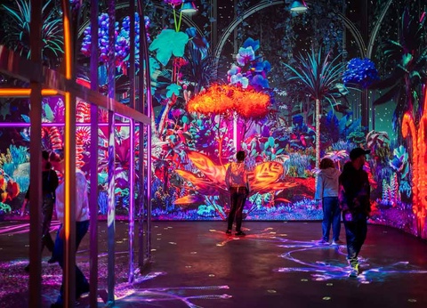 Hôtel Campanile 3*- Hôtel + billets - 5