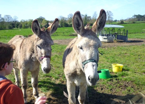 Camping Le Ragis, 4* - 37