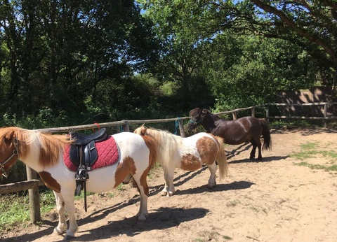 Camping Le Domaine D'inly 5* - 31