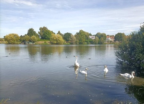 Camping Beauséjour, 4* - 53