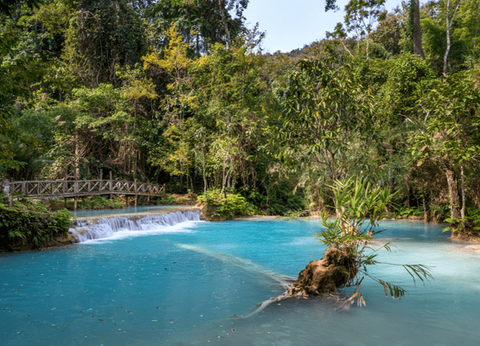 Circuit Lotus du Laos - 6