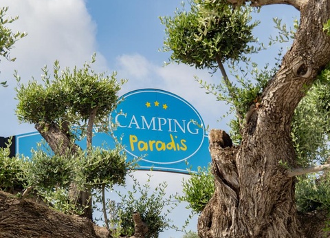 Camping L'Orangeraie - Camping Paradis, 3* - 5