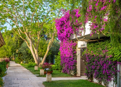 Hôtel Robinson Apulia Resort 4* - 8