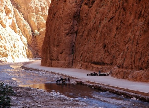 Circuit Sud marocain, du désert à l'océan (circuit privatif) - 9