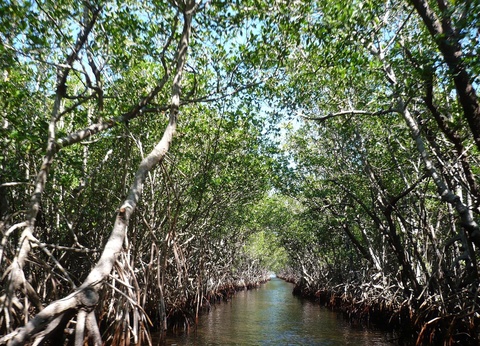 Circuit Du Pacifique à l'Amazonie - 9