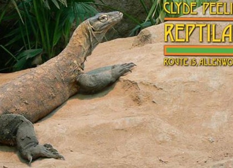 Camping L'Eau Vive, 4* - 60