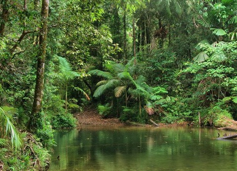 CIRCUIT LES ESSENTIELS DE L'AUSTRALIE - 11