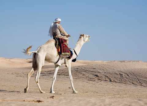 Circuit Beautés authentiques du sud tunisien 4* - 7