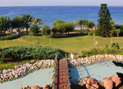 Hôtel Pegasos Resort Alanya 5* - 17