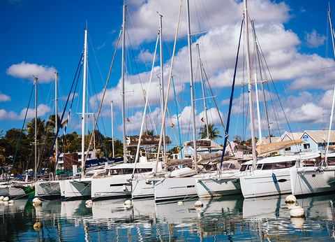 Croisière Dream Guadeloupe - 5