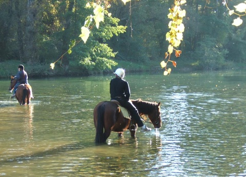 Camping La Digue, 4* - 16