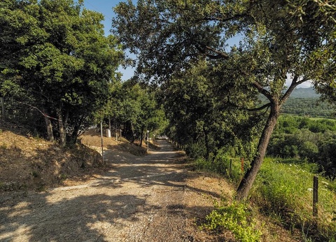 Camping La Liscia, 3* - 20