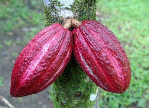 Circuit Costa Rica Autrement - 7