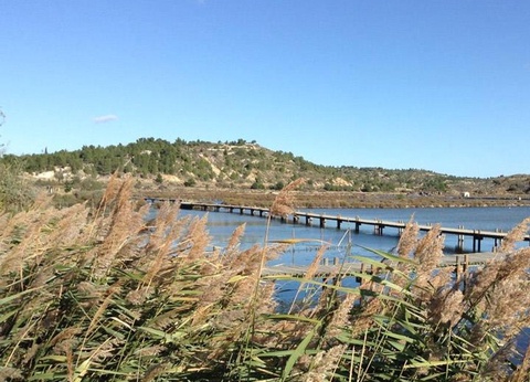 Camping La Grange Neuve, 3* - 21