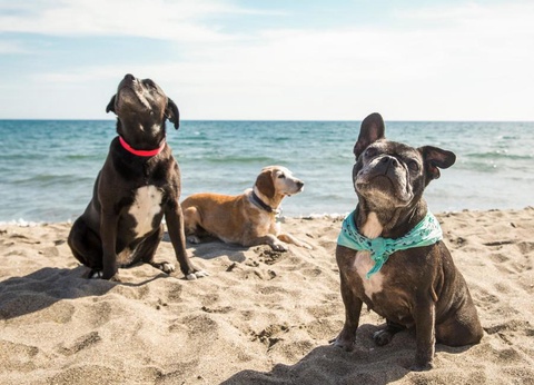 Gitavillage Club degli Amici - 39