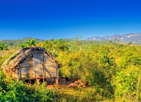 Circuit Merveilles de Cuba et extension balnéaire au Plein Vent Sélection Iberostar Origin Tainos 4*. - 3