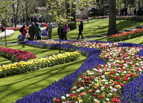 Découvrez Scheveningen et le Keukenhof en un week-end - 3* - 29
