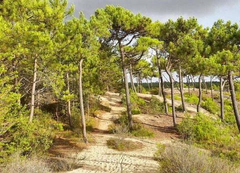 Camping Ushuaïa Villages La Conge, 3* - 57