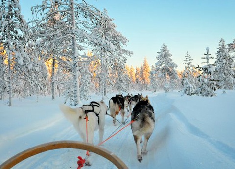 Circuit Splendeurs de la Laponie Finlandaise 08J/07N - 2025 - 3