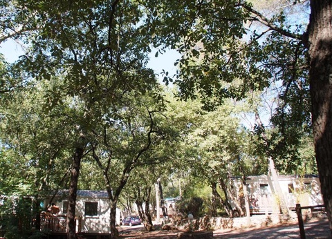 Camping Le Parc, 4* - 37