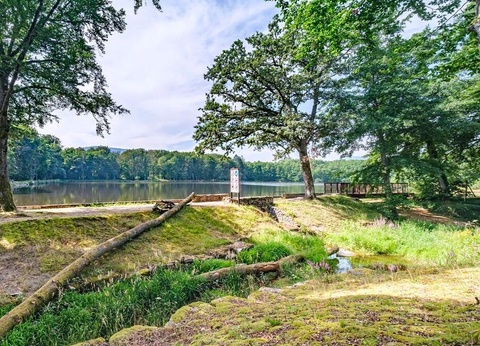 Flower Camping du Lac de la Seigneurie, 3* - 31