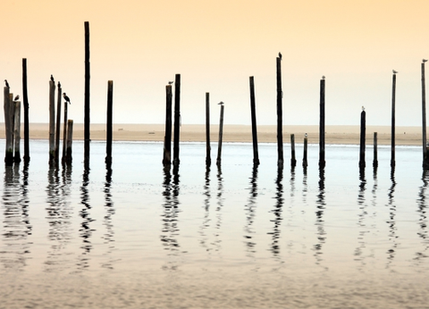 Circuit Namibie : Les plus vieux déserts du Monde **Version 2026** - 12