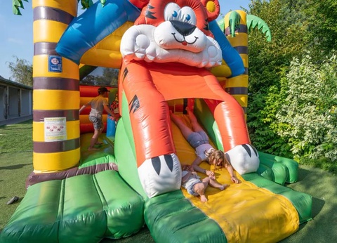 Flower Camping les Aubepines, 4* - 36