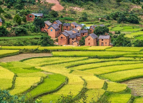 Circuit Madagascar Nature - 2