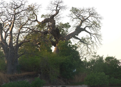 Circuit Privatif Evasion au Sénégal entre Culture et Plage - 21
