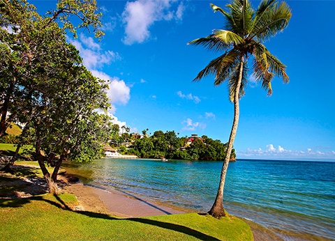 Club Framissima Évasion Eurostars Grand Cayacoa ***** - 4