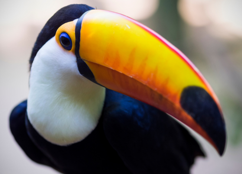 Circuit Contrastes de la Patagonie et du Nord Argentin - 18