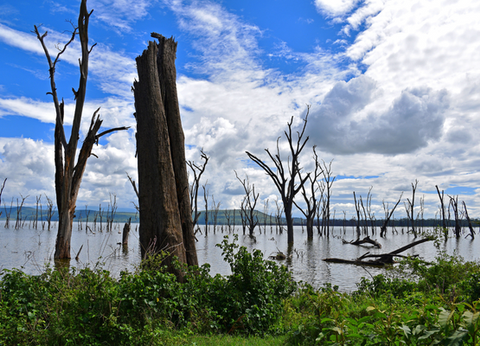 Circuit Safaris de Légende - 28