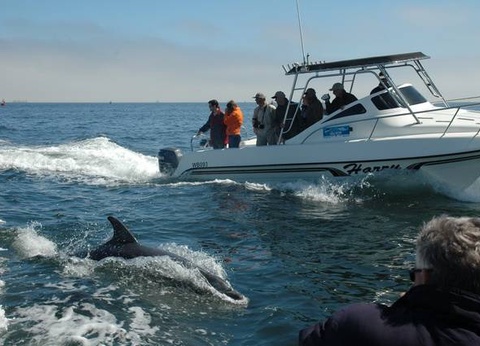 Aventure en Namibie et extension Fish River Canyon - 11